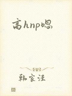 高hnp嗯
