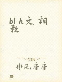 bl h文 调教封面
