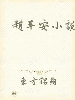赵平安小说主角