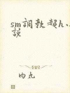 sm调教超h小说