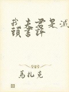 我夫君是灭世魔头书评