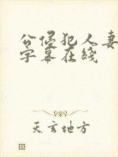 公侵犯人妻中文字幕在线封面
