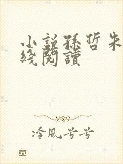 小说孙哲朱彦在线阅读封面
