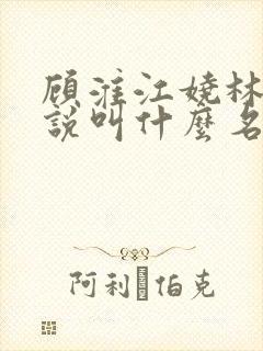 顾淮江娆林澈小说叫什么名字