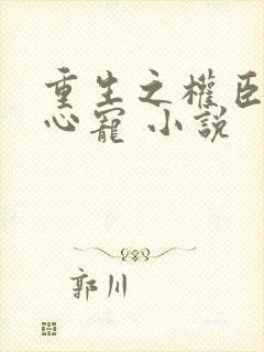 重生之权臣的掌心宠 小说