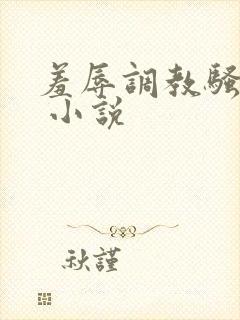 羞辱调教骚母狗 小说封面