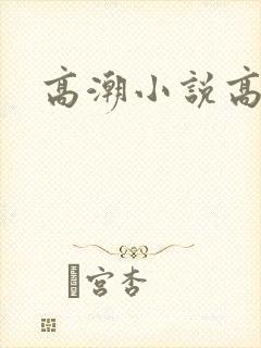 高潮小说高h