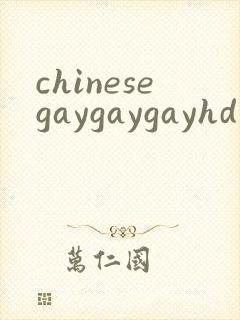 chinesegaygaygayhd