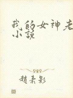我的女神老婆 小说封面