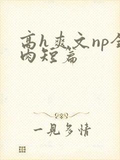 高h爽文np全肉短篇