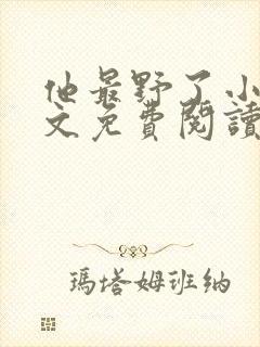 他最野了小说全文免费阅读无弹窗