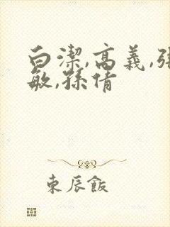 白洁,高义,张敏,孙倩