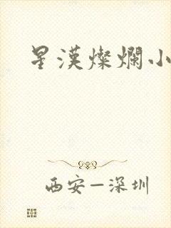 星汉灿烂小说