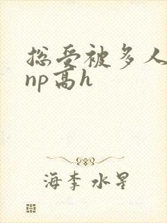 总受被多人玩弄np高h封面