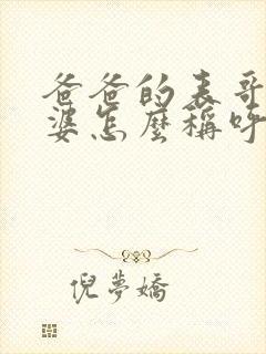 爸爸的表哥的老婆怎么称呼