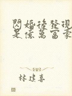 闪婚后发现老公是亿万富豪(小说)