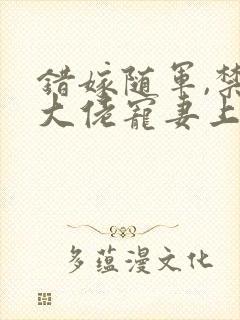 错嫁随军,禁欲大佬宠妻上瘾笔趣阁