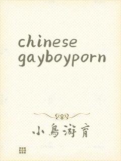 chinesegayboyporn