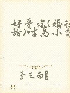 好爱你(婚后高甜)咕马小说封面