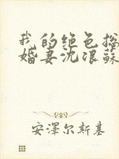 我的绝色总裁未婚妻沈浪苏若雪最新章节