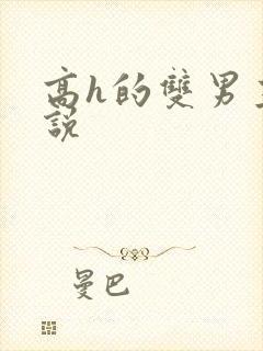 高h的双男主小说