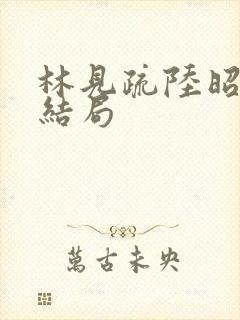 林见疏陆昭野大结局封面