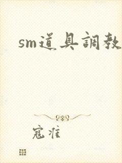 sm道具调教男