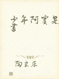 少年阿宾是什么书