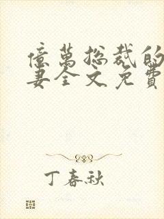 亿万总裁的隐婚妻全文免费阅读