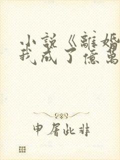 小说《离婚后,我成了亿万富翁》