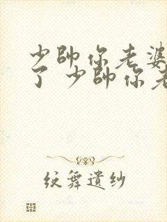 少帅你老婆又跑了 少帅你老婆又跑了封面