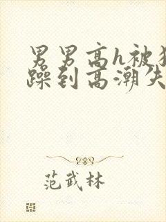 男男高h被狂c躁到高潮失视频