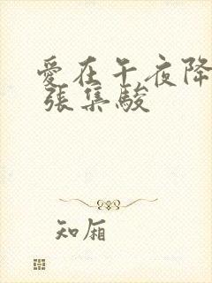 爱在午夜降临前 张集骏