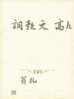 调教文 高h封面