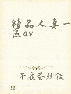 精品人妻一区二区av