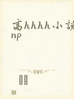 高hhhh小说np