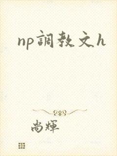 np调教文h封面