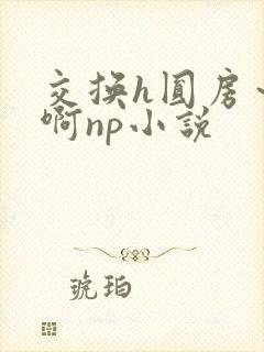 交换h圆房～嗯啊np小说封面