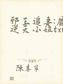 邪王追妻:废材逆天小姐txt