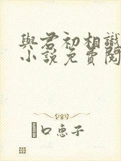与君初相识原著小说免费阅读