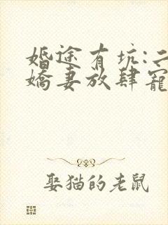 婚途有坑:二嫁娇妻放肆宠