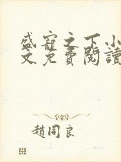 盛宠之下小说全文免费阅读
