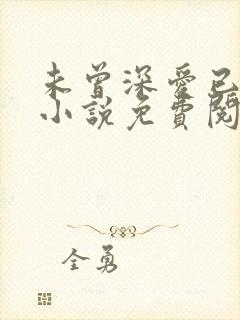 未曾深爱已无情小说免费阅读