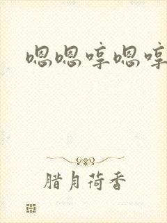 嗯嗯哼嗯哼封面