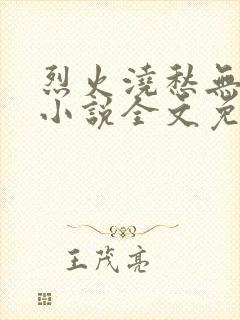 烈火浇愁无删减小说全文免费阅读封面