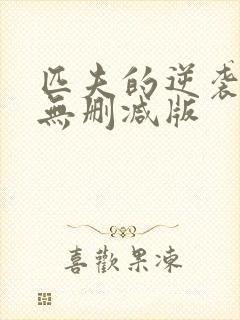 匹夫的逆袭小说无删减版