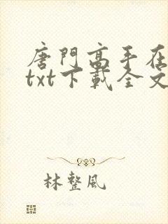 唐门高手在异世txt下载全文封面