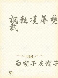 调教凌辱双性总裁