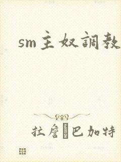 sm主奴调教文