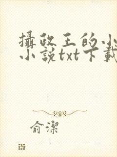 摄政王的小闲妻小说txt下载
